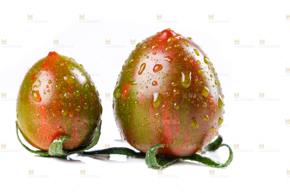 白底上的迷彩小番茄