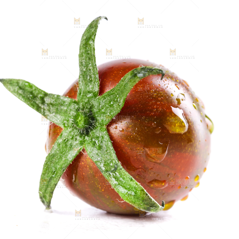 白底上的迷彩小番茄