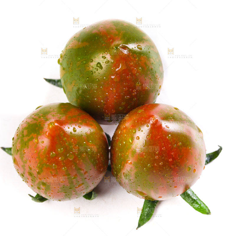 白底上的迷彩小番茄