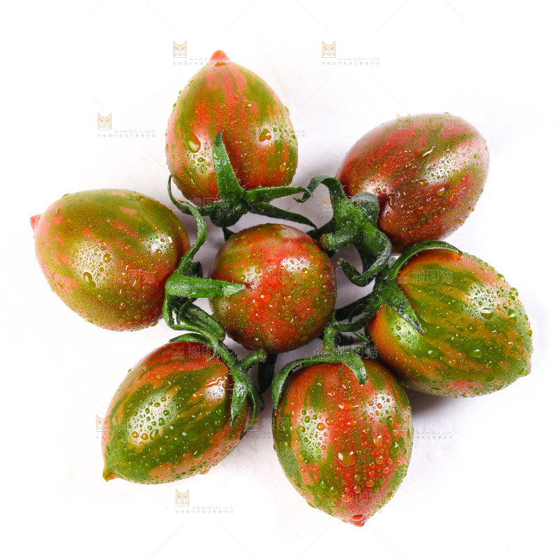 白底上的迷彩小番茄