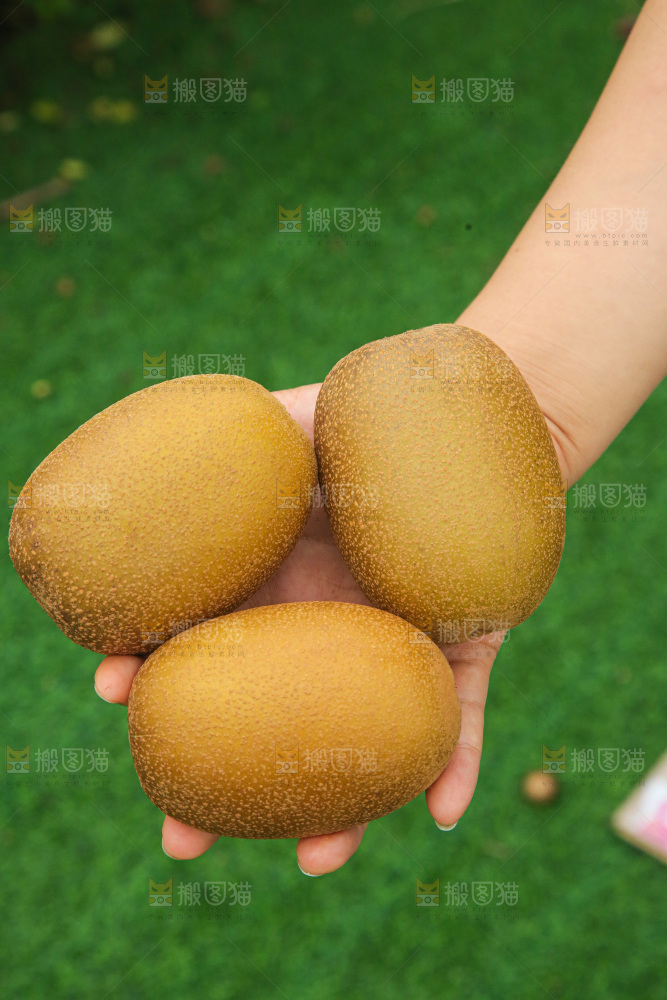 手里拿着佳沛奇异果