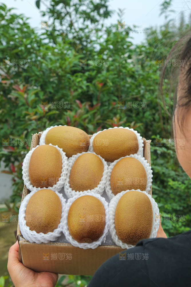 手里拿着佳沛奇异果