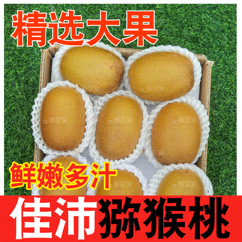 草地上的佳沛奇异果