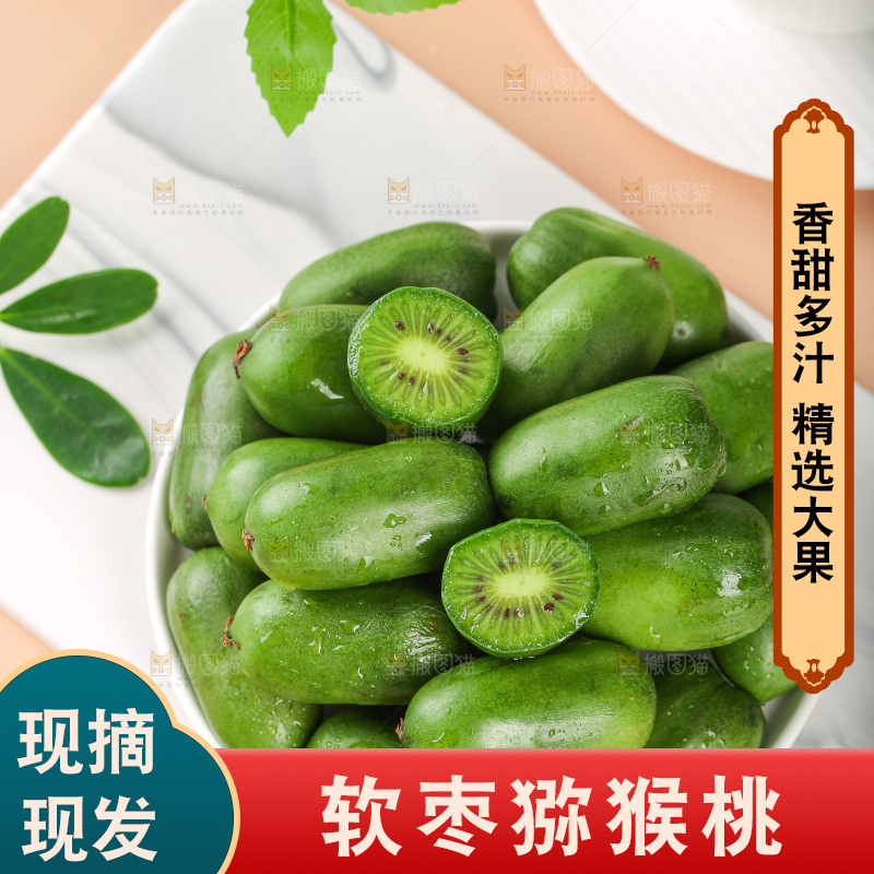 浅底上的软枣猕猴桃