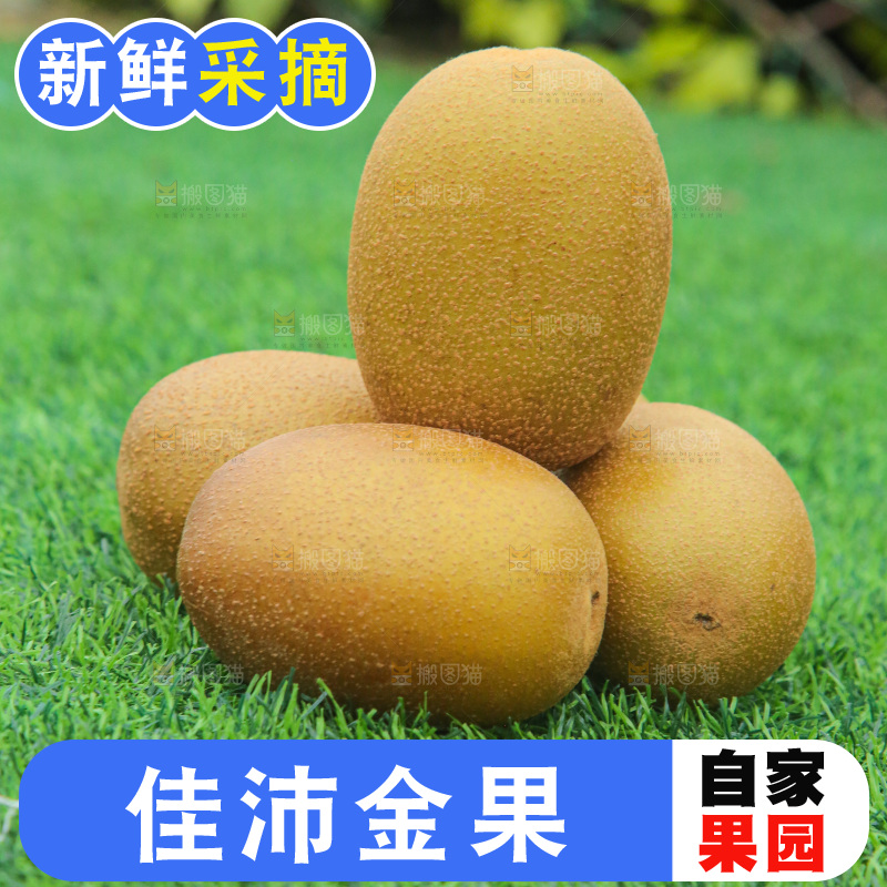 草地上的佳沛奇异果