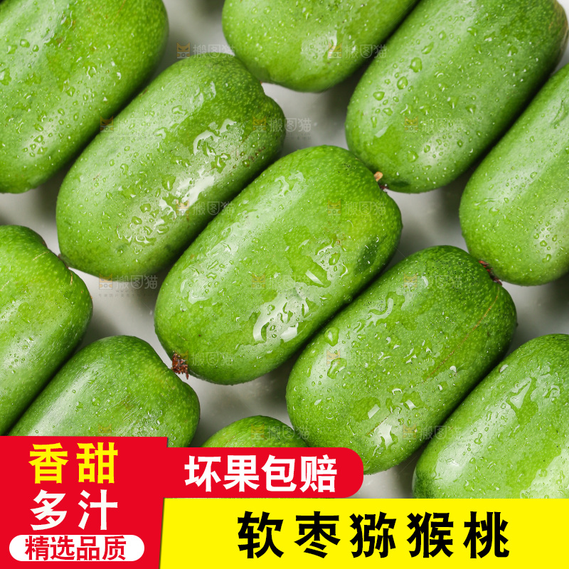 浅底上的软枣猕猴桃
