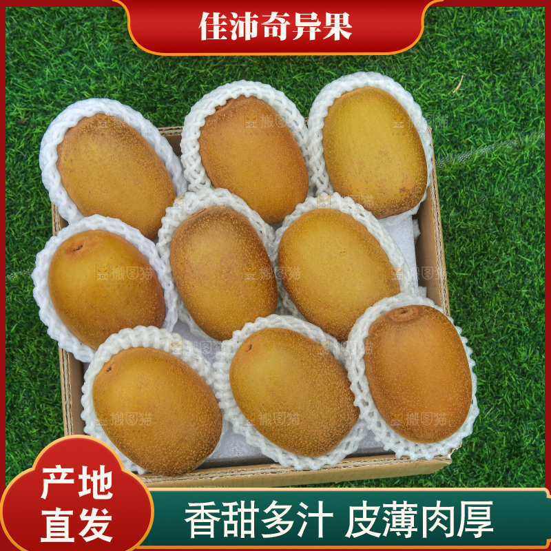 草地上的佳沛奇异果