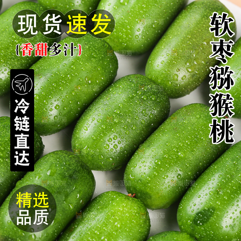 浅底上的软枣猕猴桃