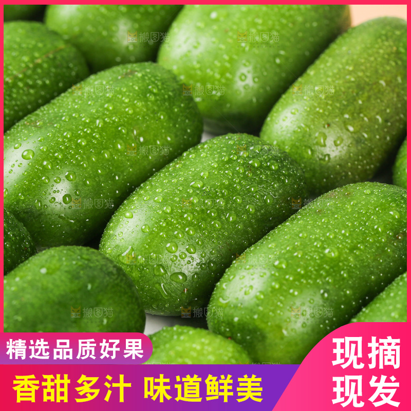 浅底上的软枣猕猴桃