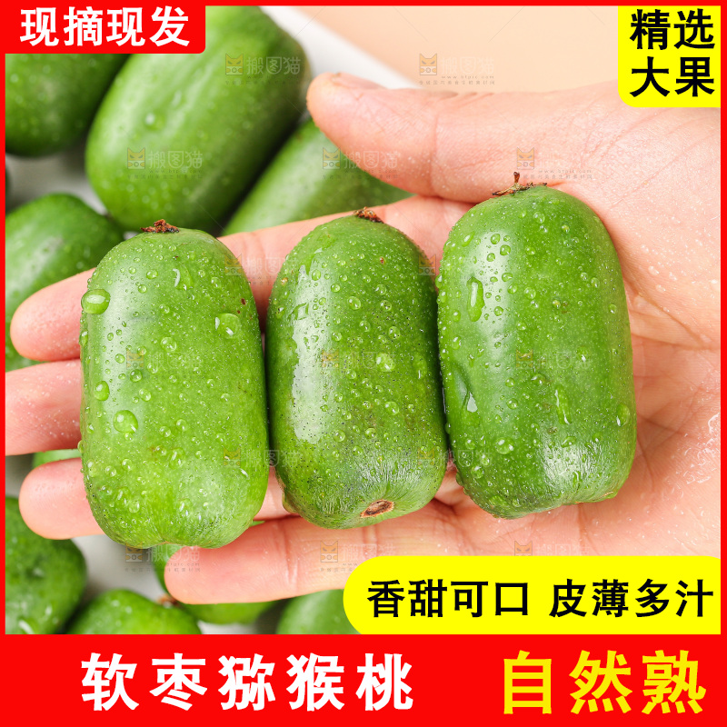 浅底上的软枣猕猴桃