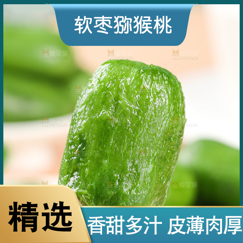浅底上的软枣猕猴桃