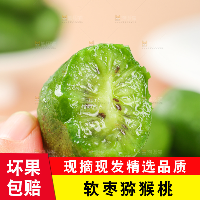 浅底上的软枣猕猴桃