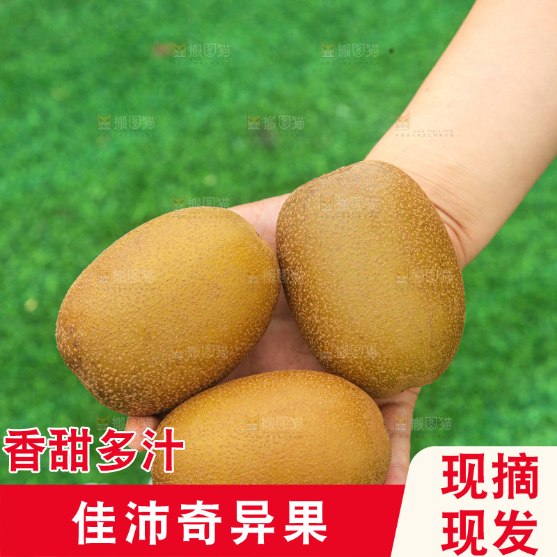 手里拿着佳沛奇异果