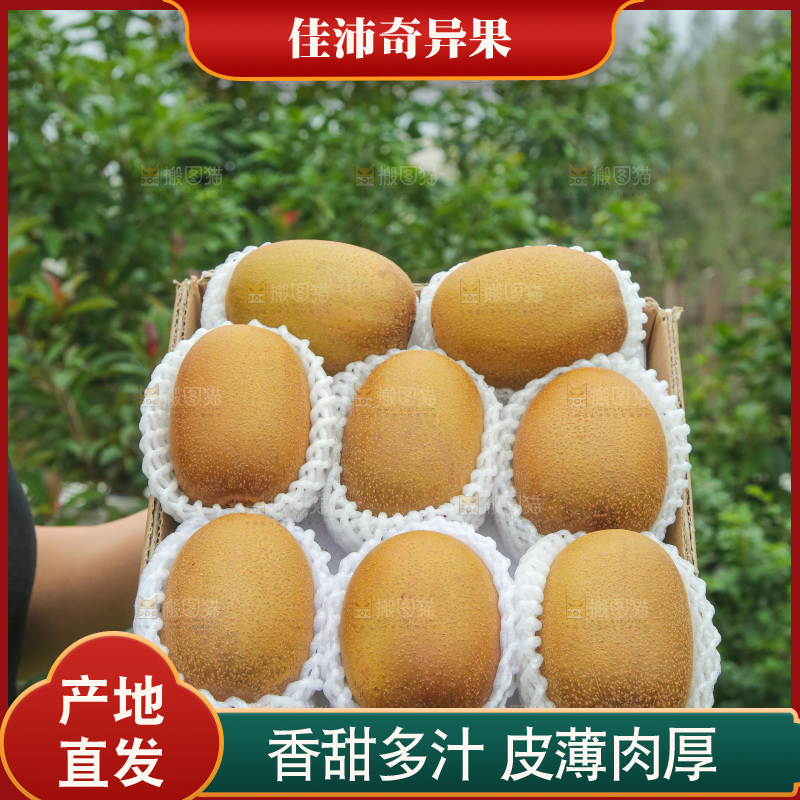 手里拿着佳沛奇异果