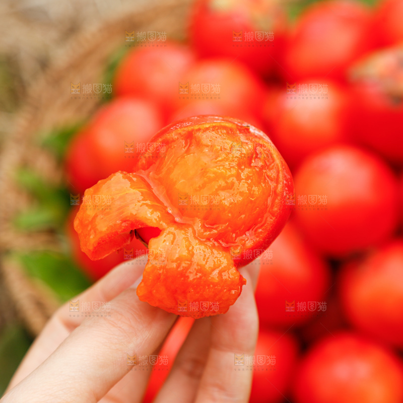 手里拿着珍珠蜜柿