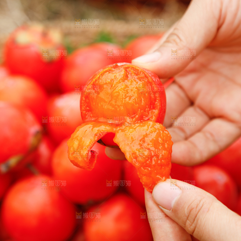 手里拿着珍珠蜜柿