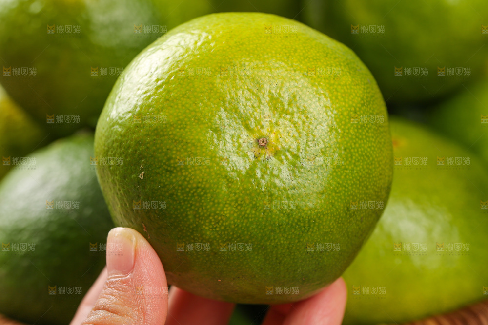 木底上的青皮蜜桔