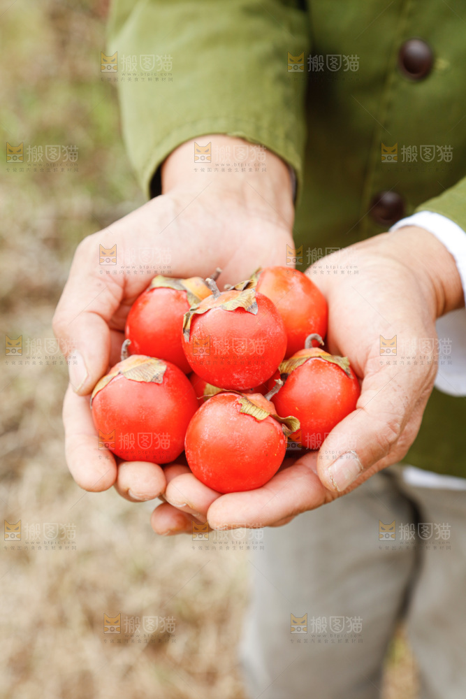 珍珠蜜柿