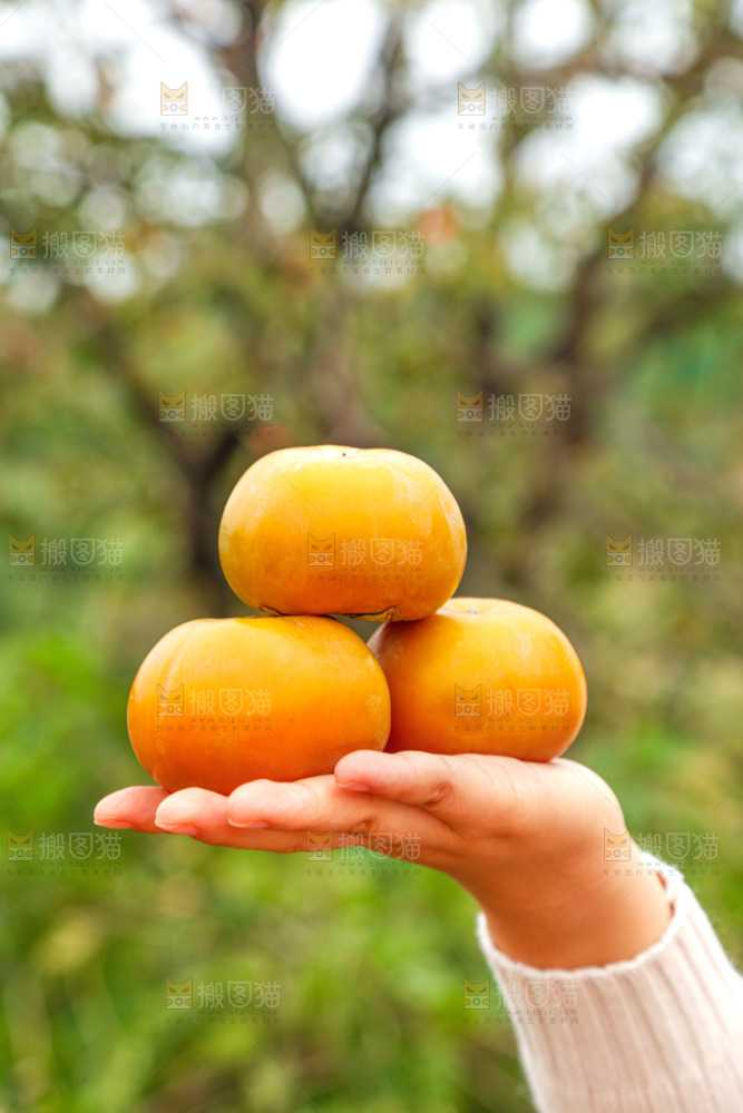 手里拿着奶油脆柿