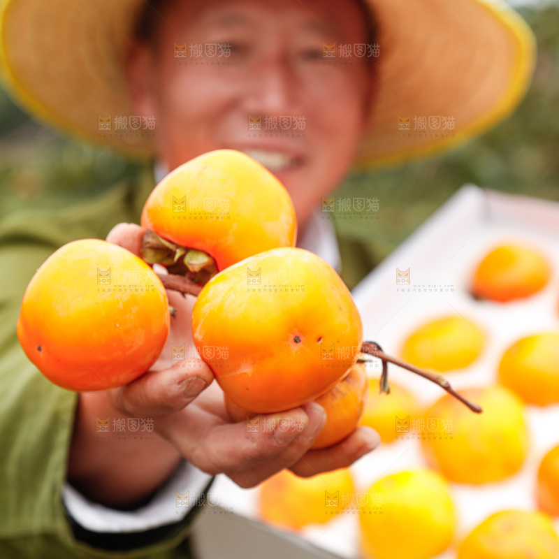 手里拿着奶油脆柿
