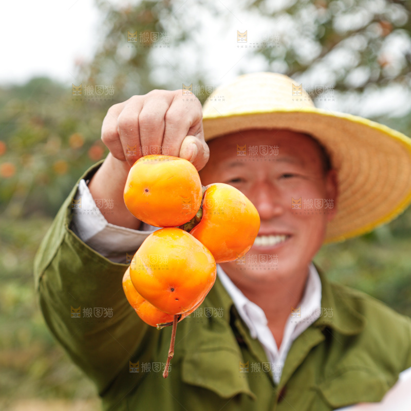 手里拿着奶油脆柿