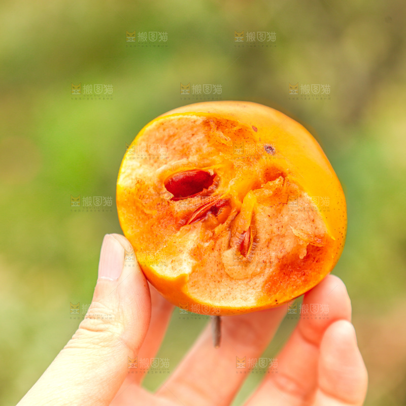 手里拿着奶油脆柿