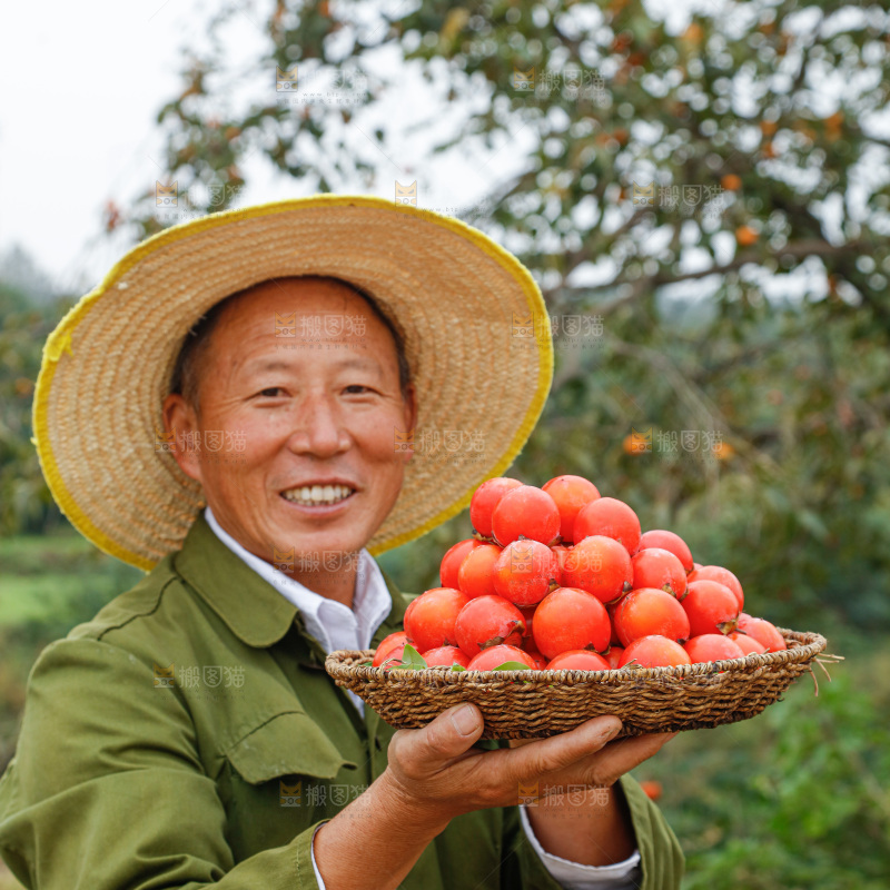 手里拿着珍珠蜜柿