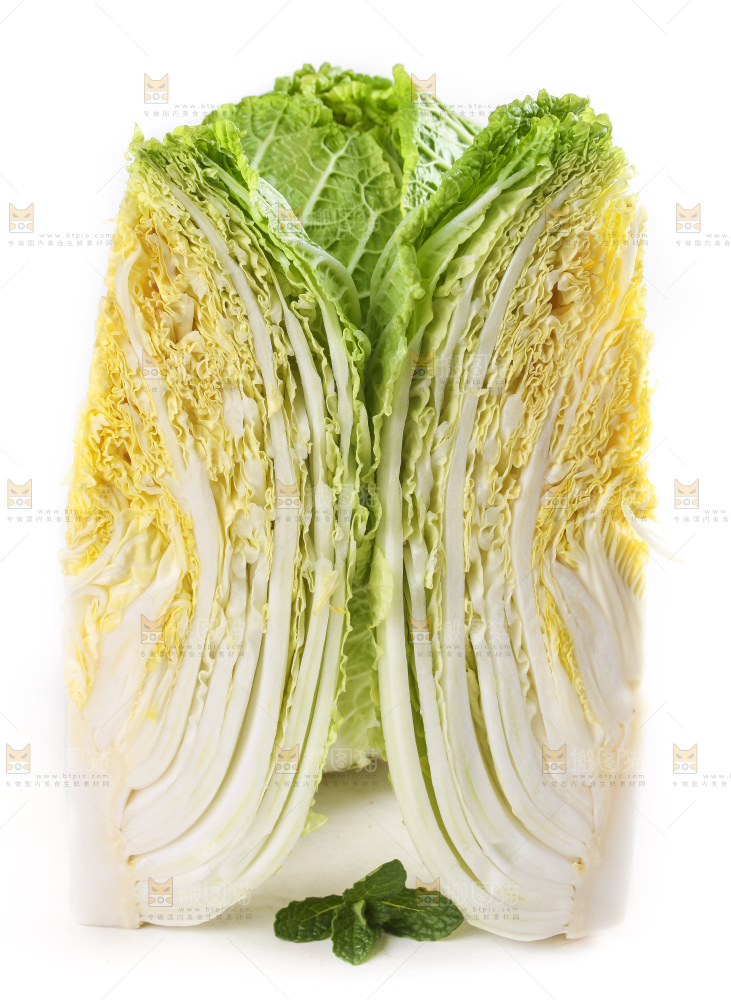 白底上的大白菜