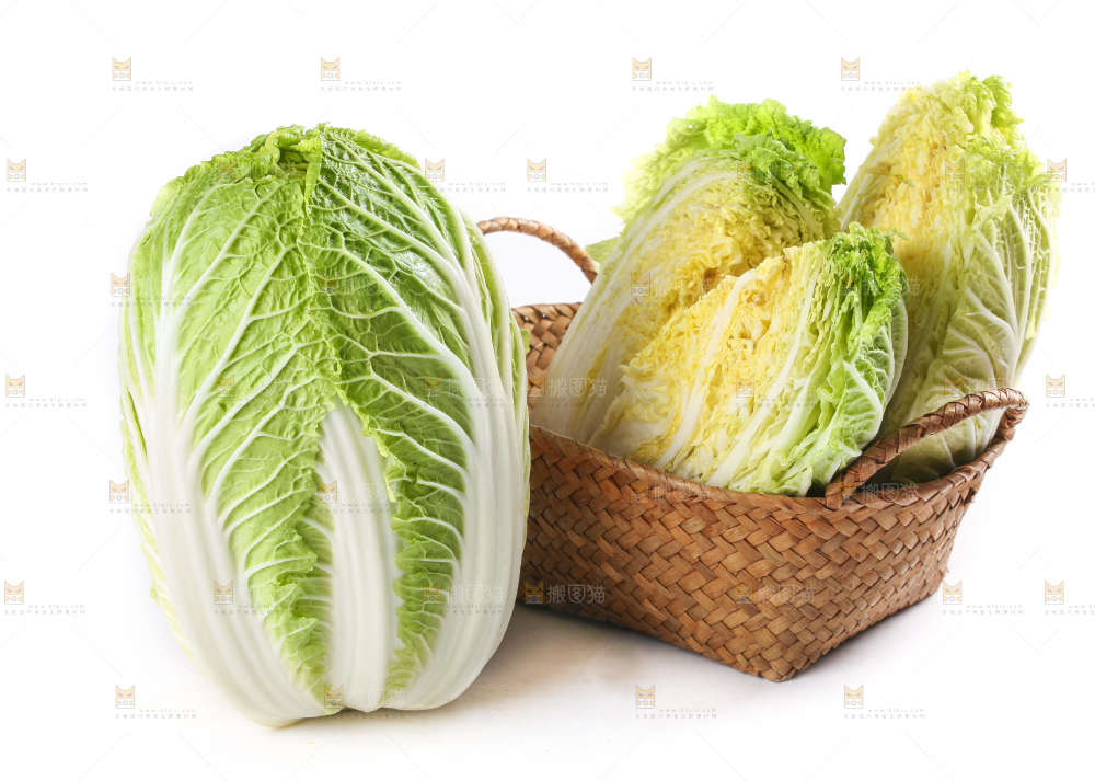 白底上的大白菜