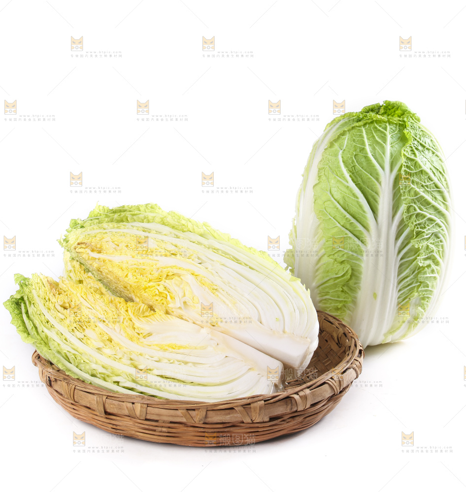 白底上的大白菜
