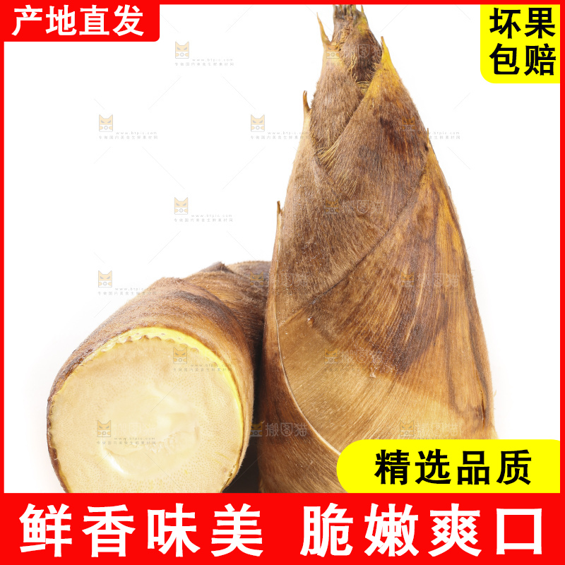 白底上的冬笋