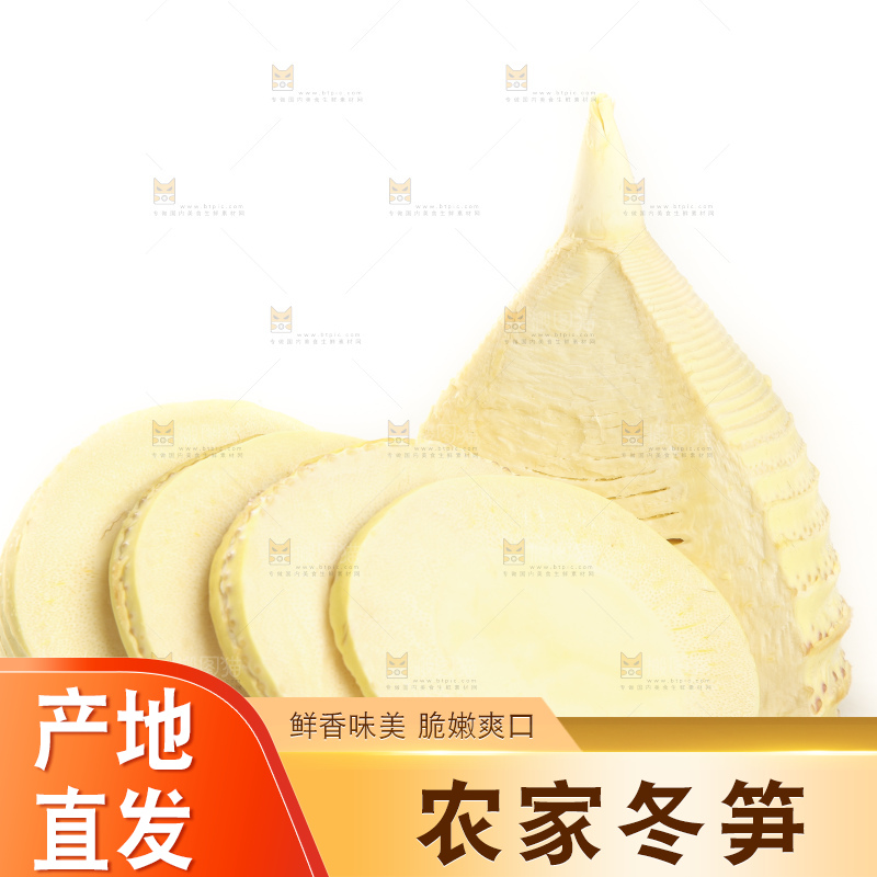 白底上的冬笋