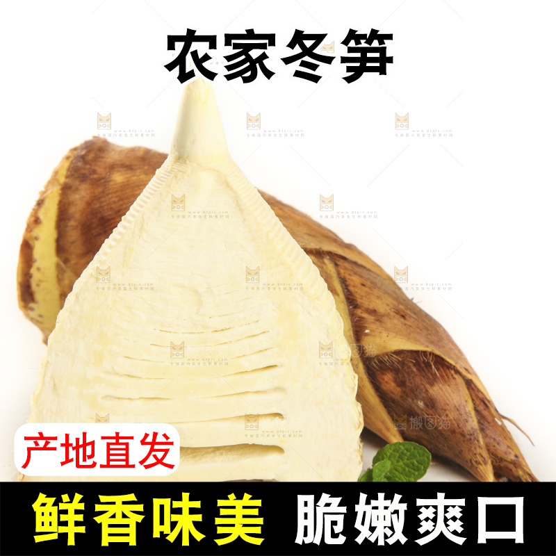 白底上的冬笋