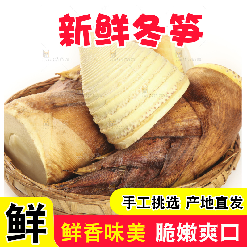白底上的冬笋