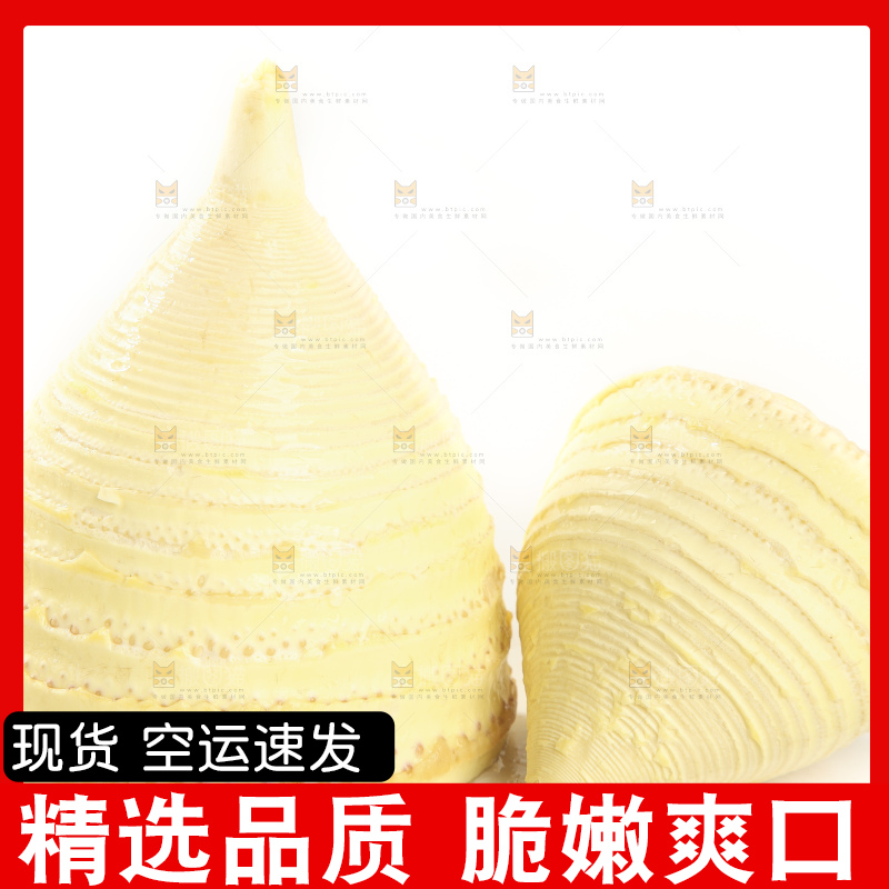 白底上的冬笋
