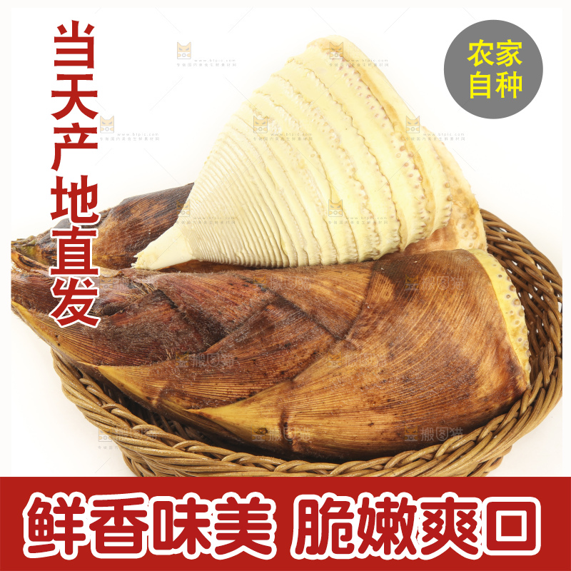 白底上的冬笋