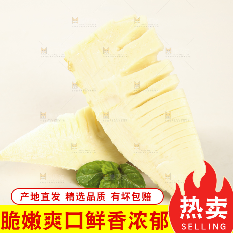 白底上的冬笋