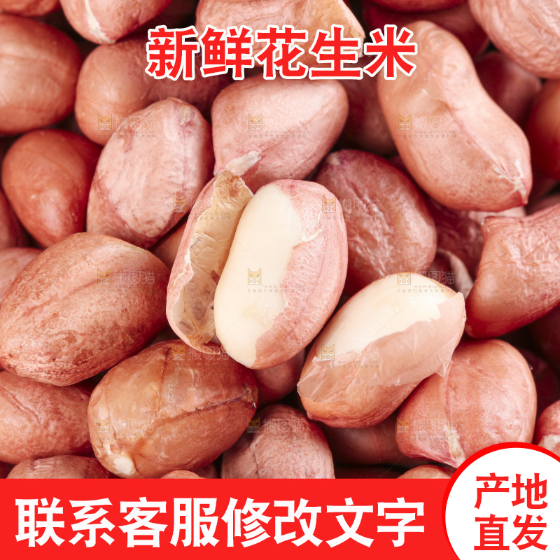 白底上的花生米