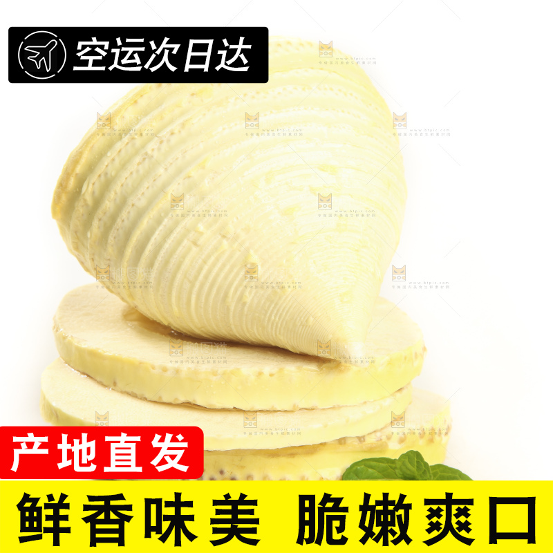 白底上的冬笋