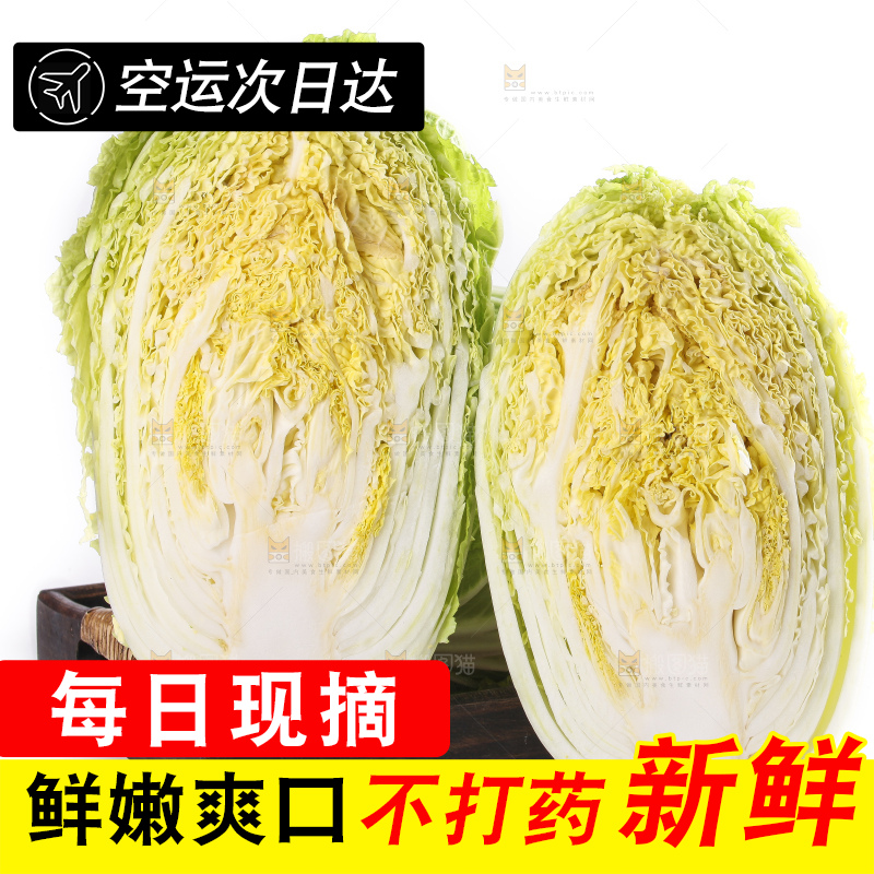 白底上的大白菜
