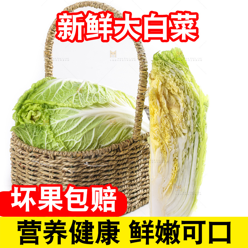 白底上的大白菜