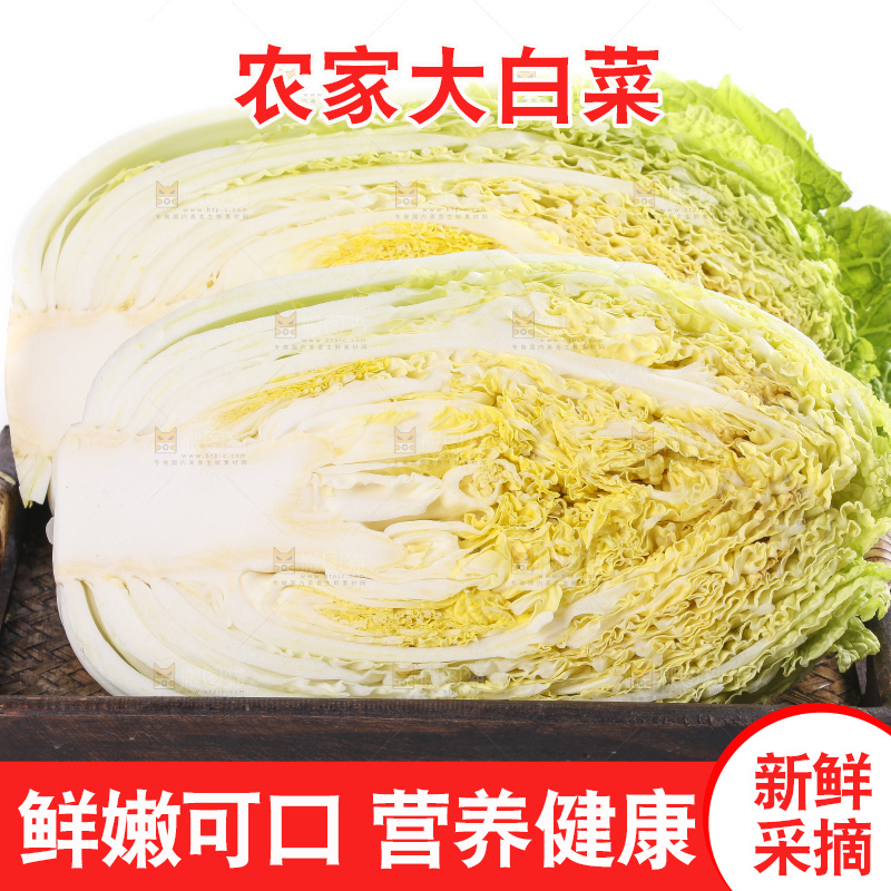 白底上的大白菜