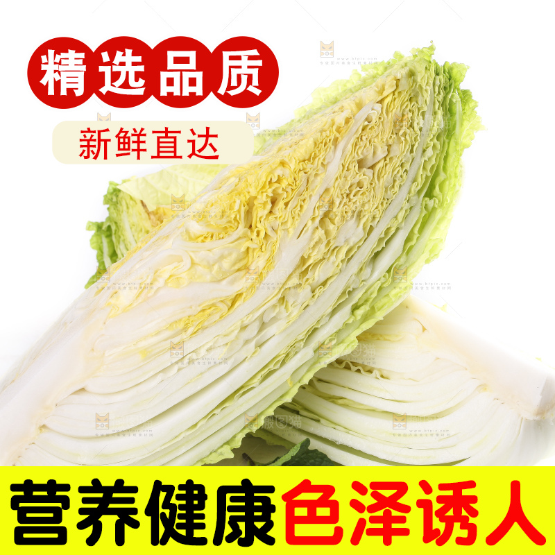 白底上的大白菜