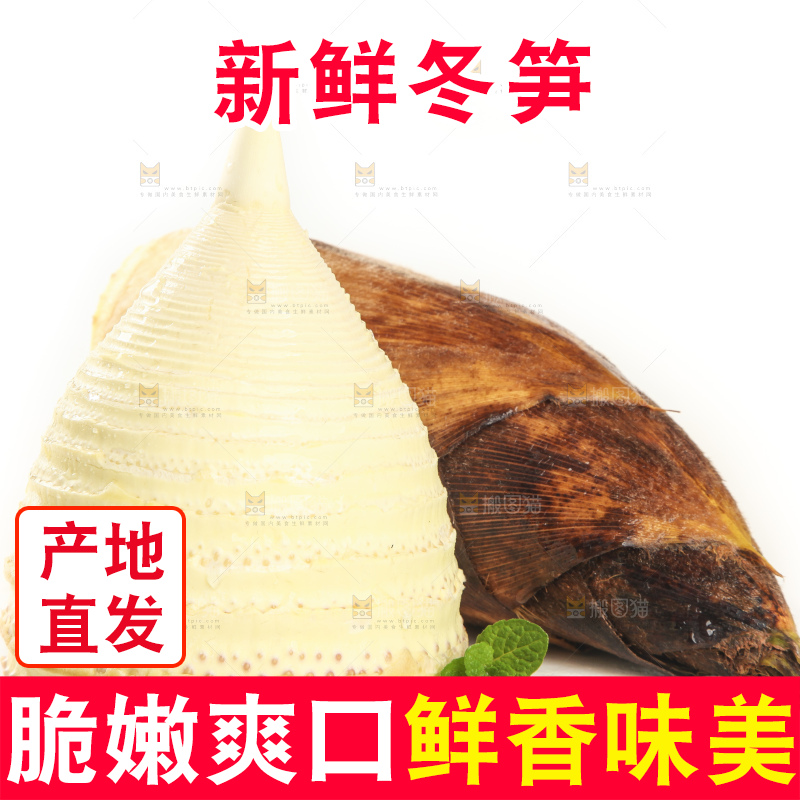 白底上的冬笋