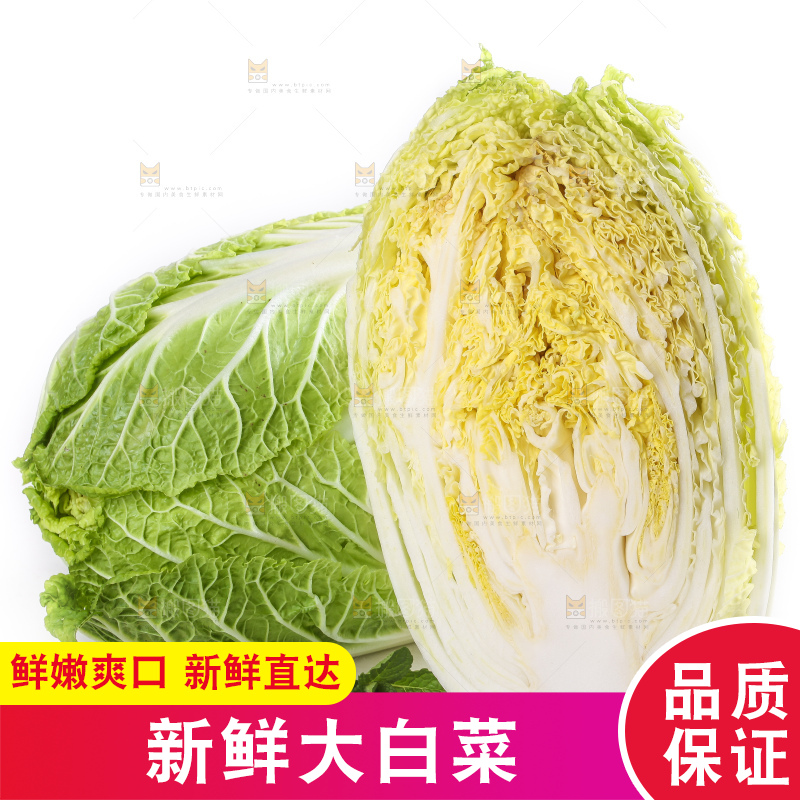 白底上的大白菜