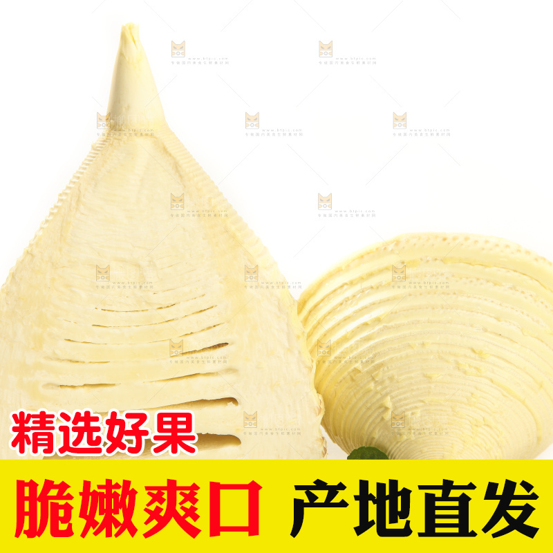 白底上的冬笋