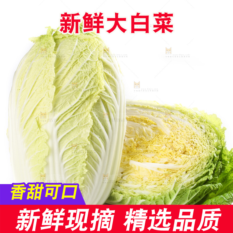 白底上的大白菜