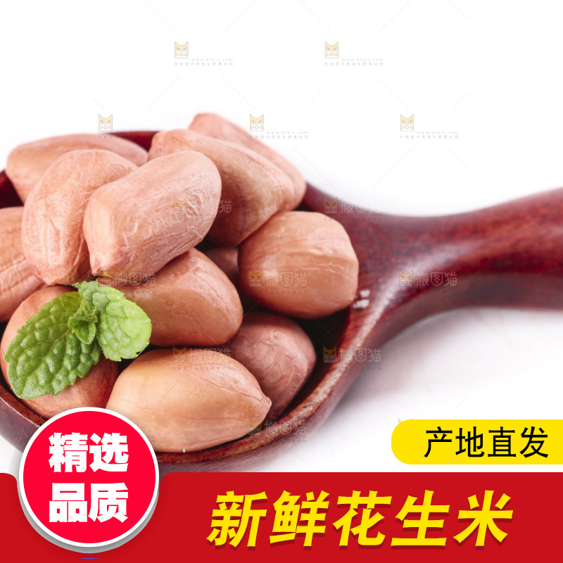 白底上的花生米