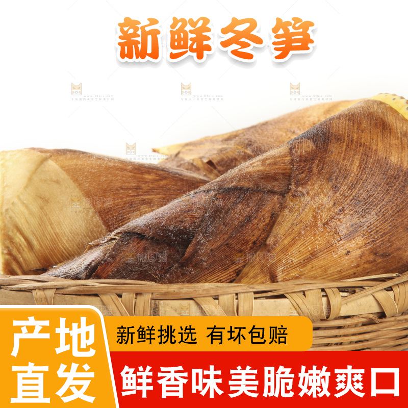 白底上的冬笋