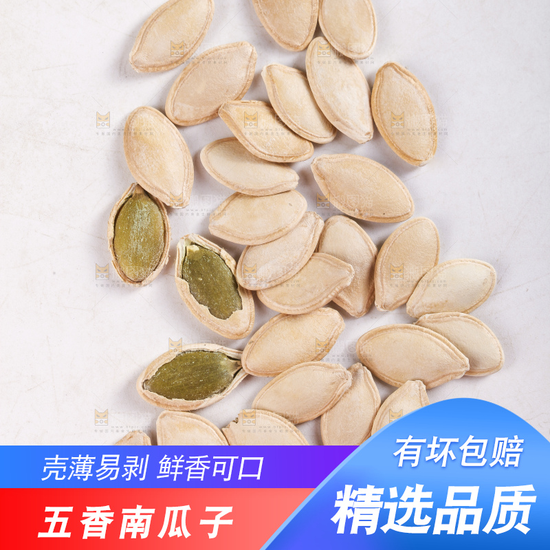 白底上的南瓜子